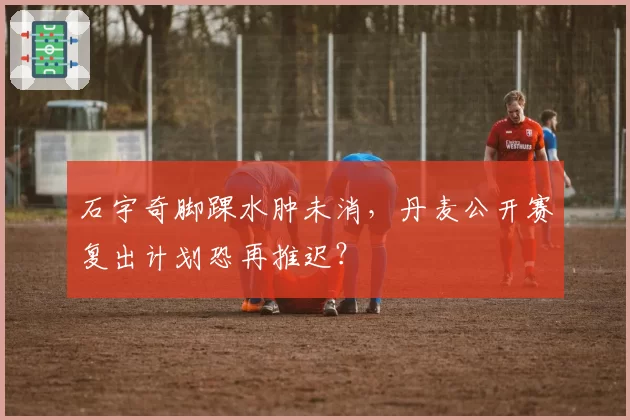 石宇奇脚踝水肿未消,丹麦公开赛复出计划恐再推迟?