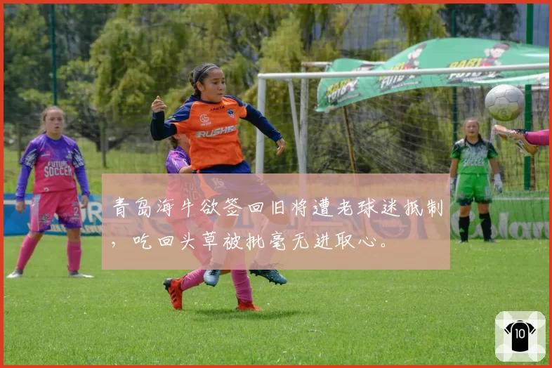 青岛海牛欲签回旧将遭老球迷抵制，吃回头草被批毫无进取心。