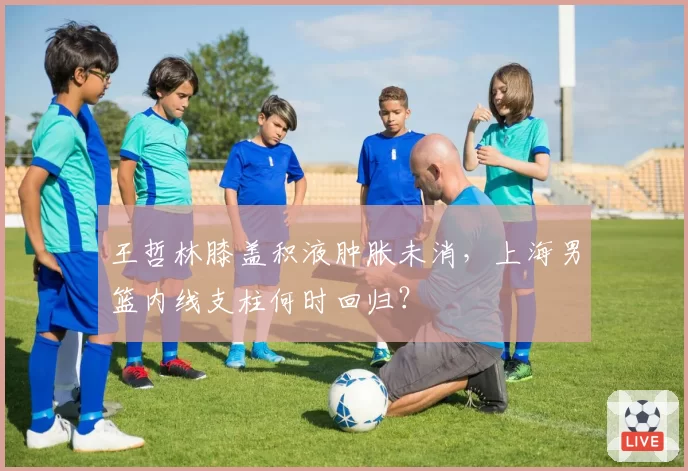 王哲林膝盖积液肿胀未消,上海男篮内线支柱何时回归?