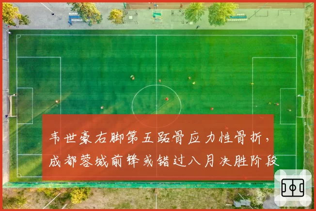 韦世豪右脚第五跖骨应力性骨折,成都蓉城前锋或错过八月决胜阶段