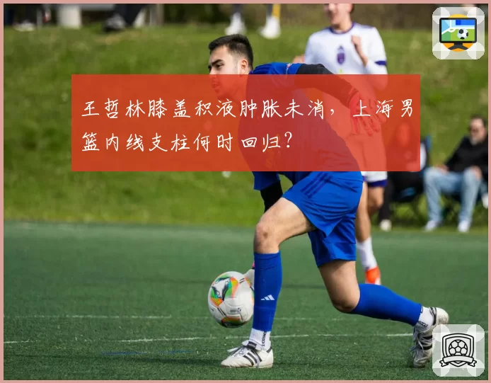 王哲林膝盖积液肿胀未消，上海男篮内线支柱何时回归？